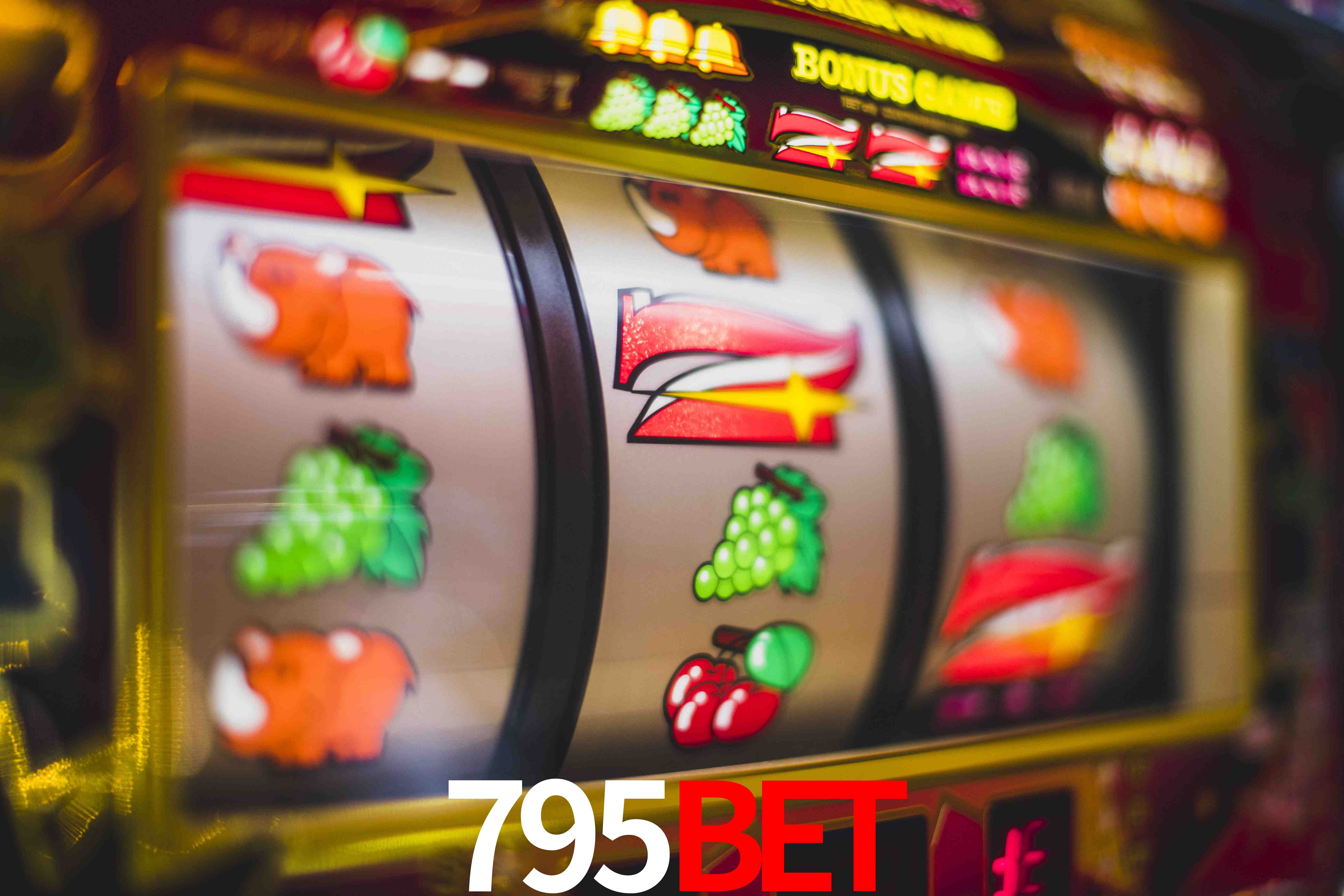 Tennis Betting 795bet